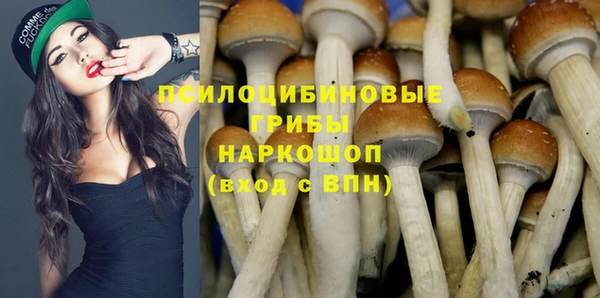 спиды Домодедово