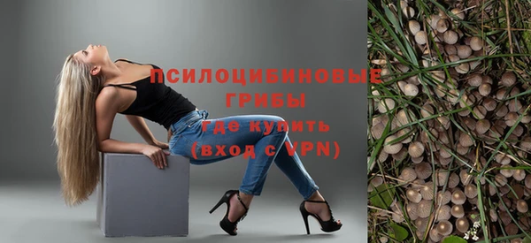 СК Кулебаки