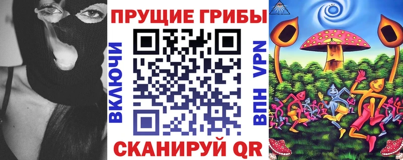 Псилоцибиновые грибы Psilocybe Красково